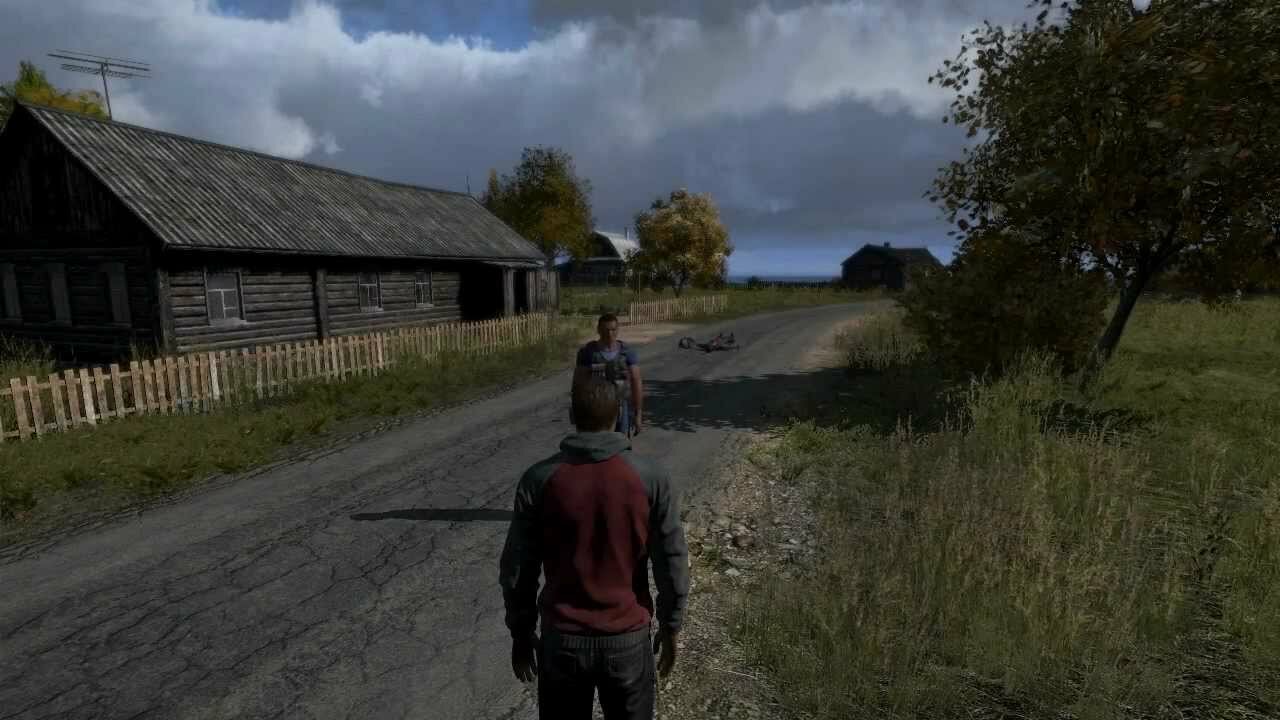 dayz1.jpg
